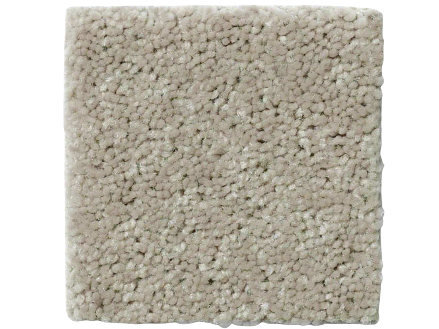 AREA RUG - IVORY | 10' x 10'