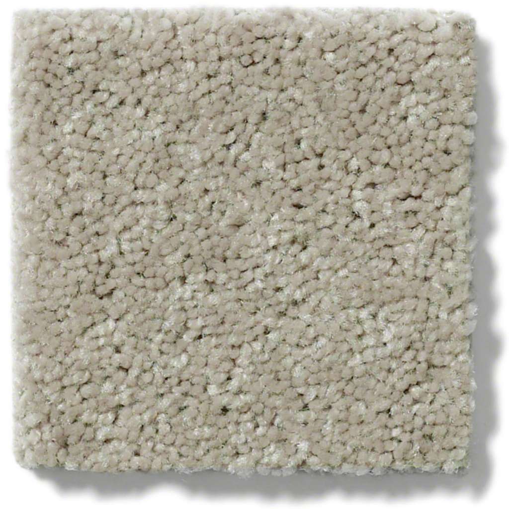 AREA RUG - IVORY | 10' x 10'
