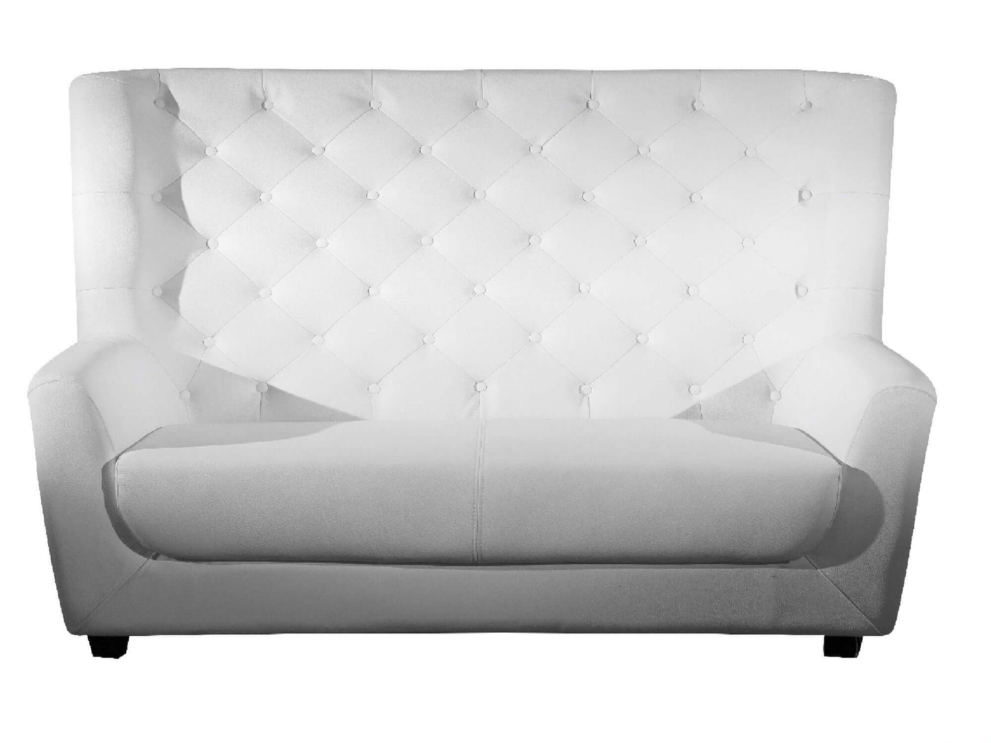 SKYLINE LOW ARM LOVESEAT