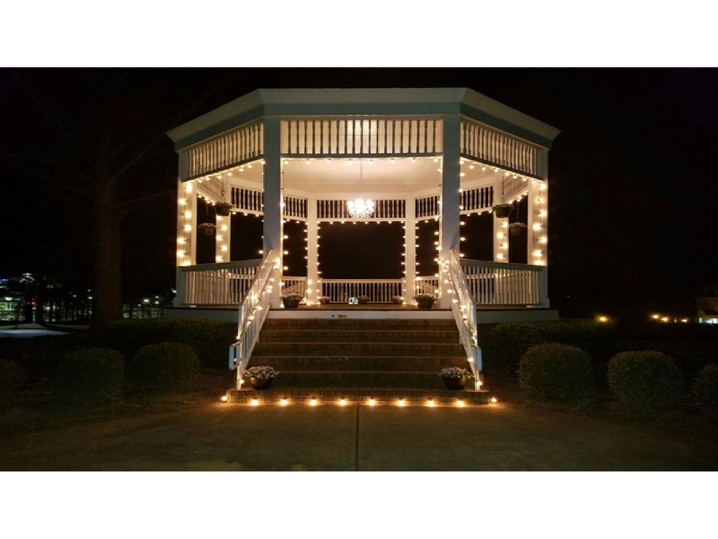 CAFE STRING LIGHTS