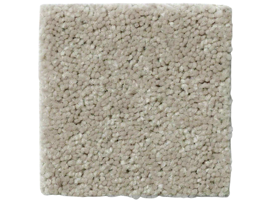 AREA RUG - IVORY | 10' x 10'