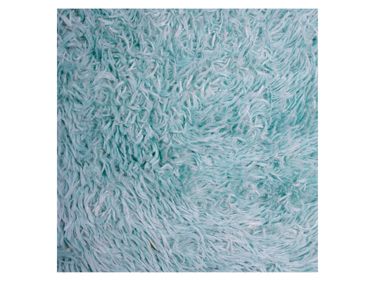 SHAG RUG - TEAL | 6' x 9'