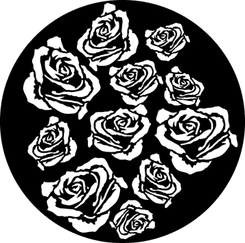 Breakup Roses