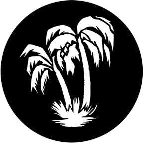 Palm Tree
