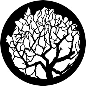 Winter Tree 1
