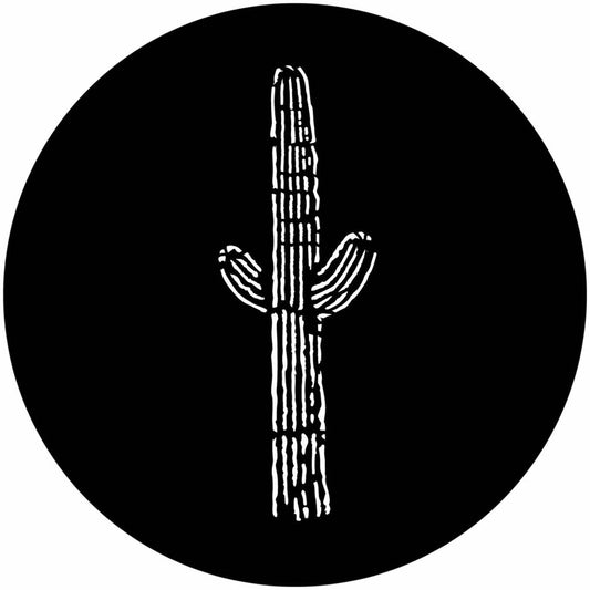 West Desert Cactus
