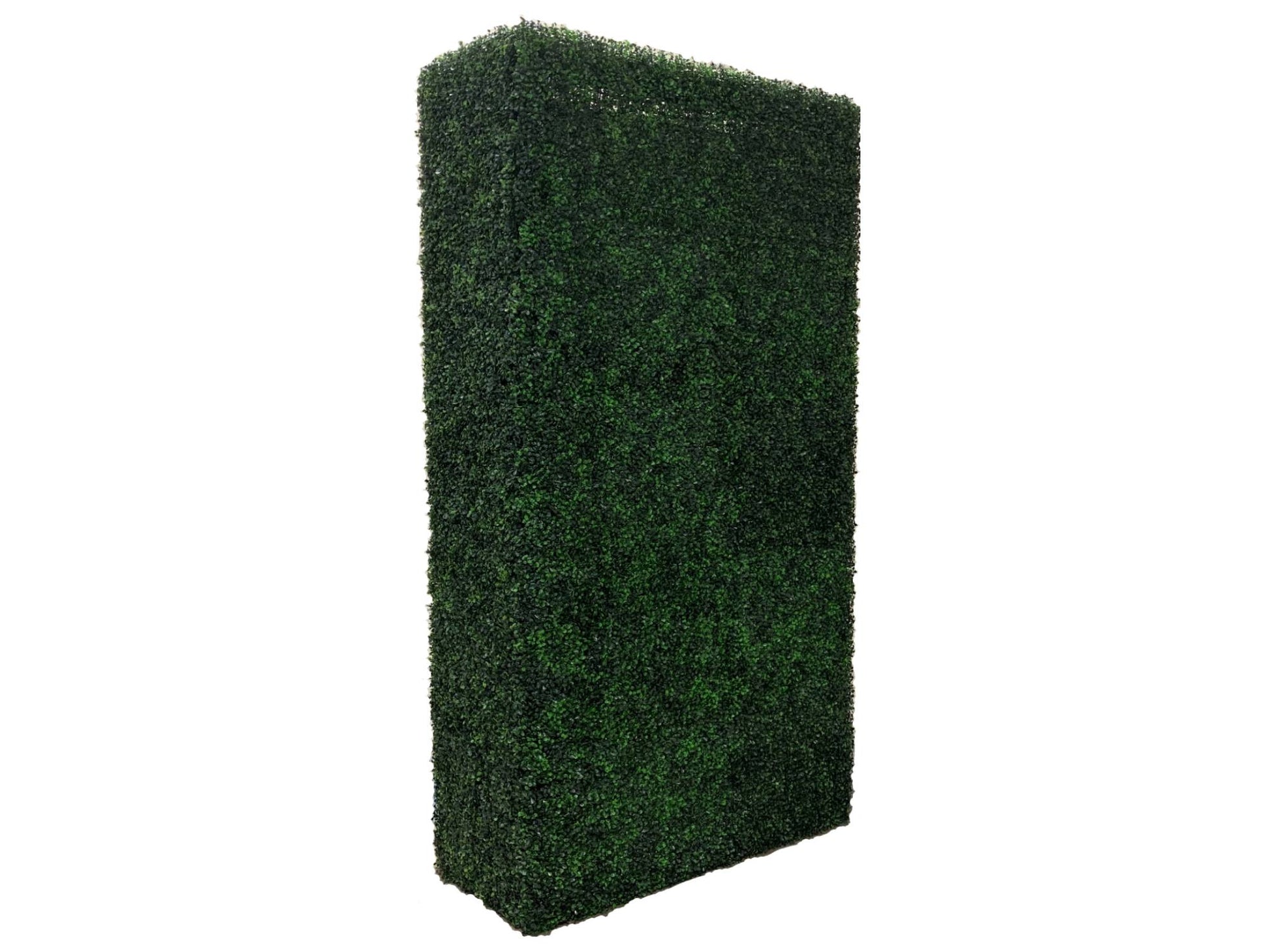 BOXWOOD HEDGE WALL | 4' X 8'