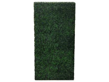 BOXWOOD HEDGE WALL | 4' X 8'