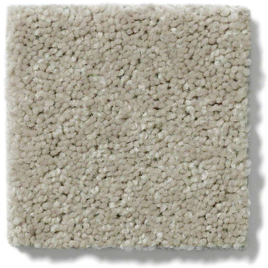 AREA RUG - IVORY | 10' x 10'