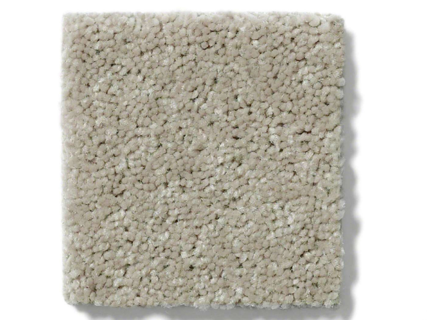 RUNNER - IVORY | 4' x 10'