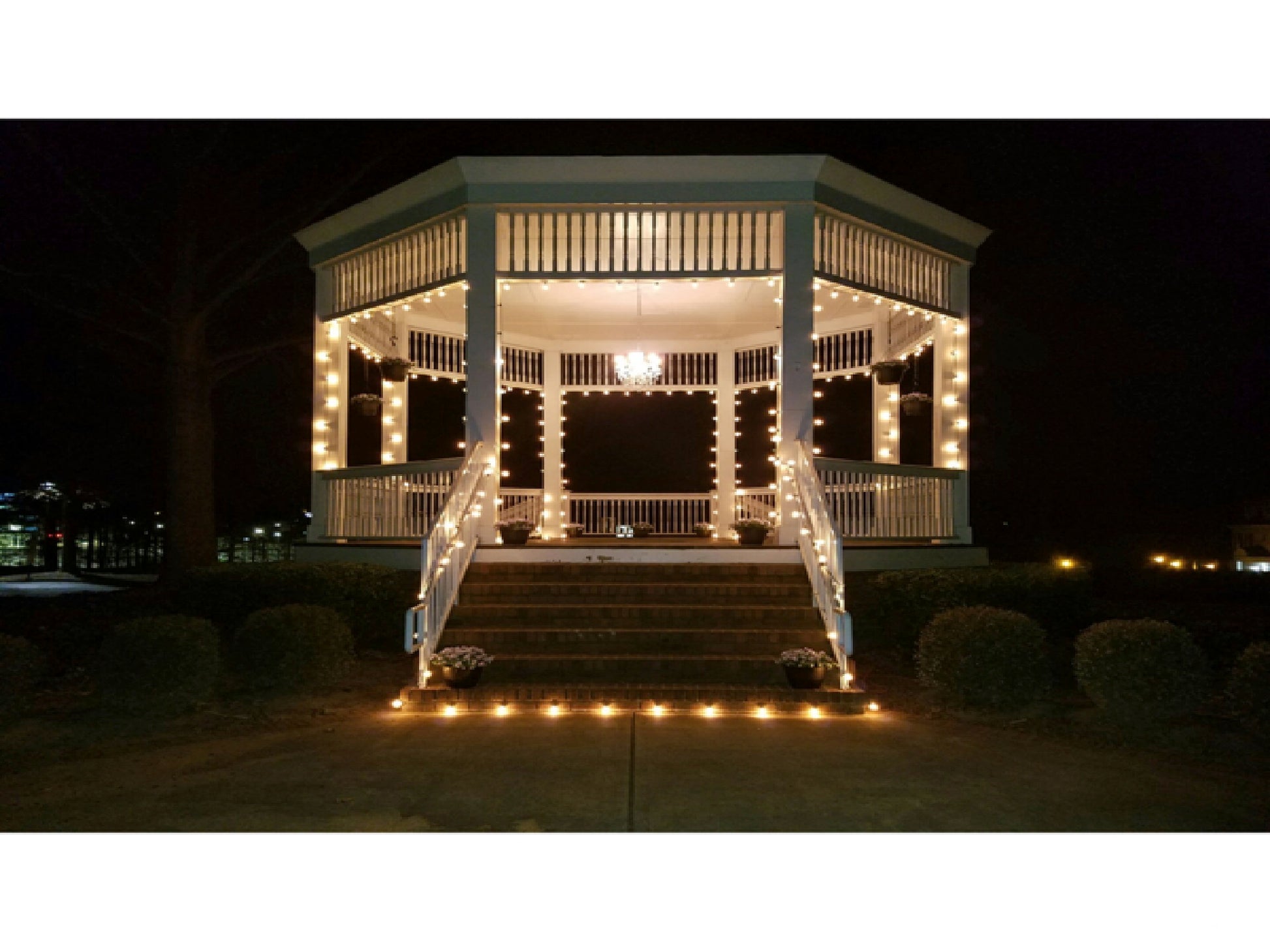 CAFE STRING LIGHTS