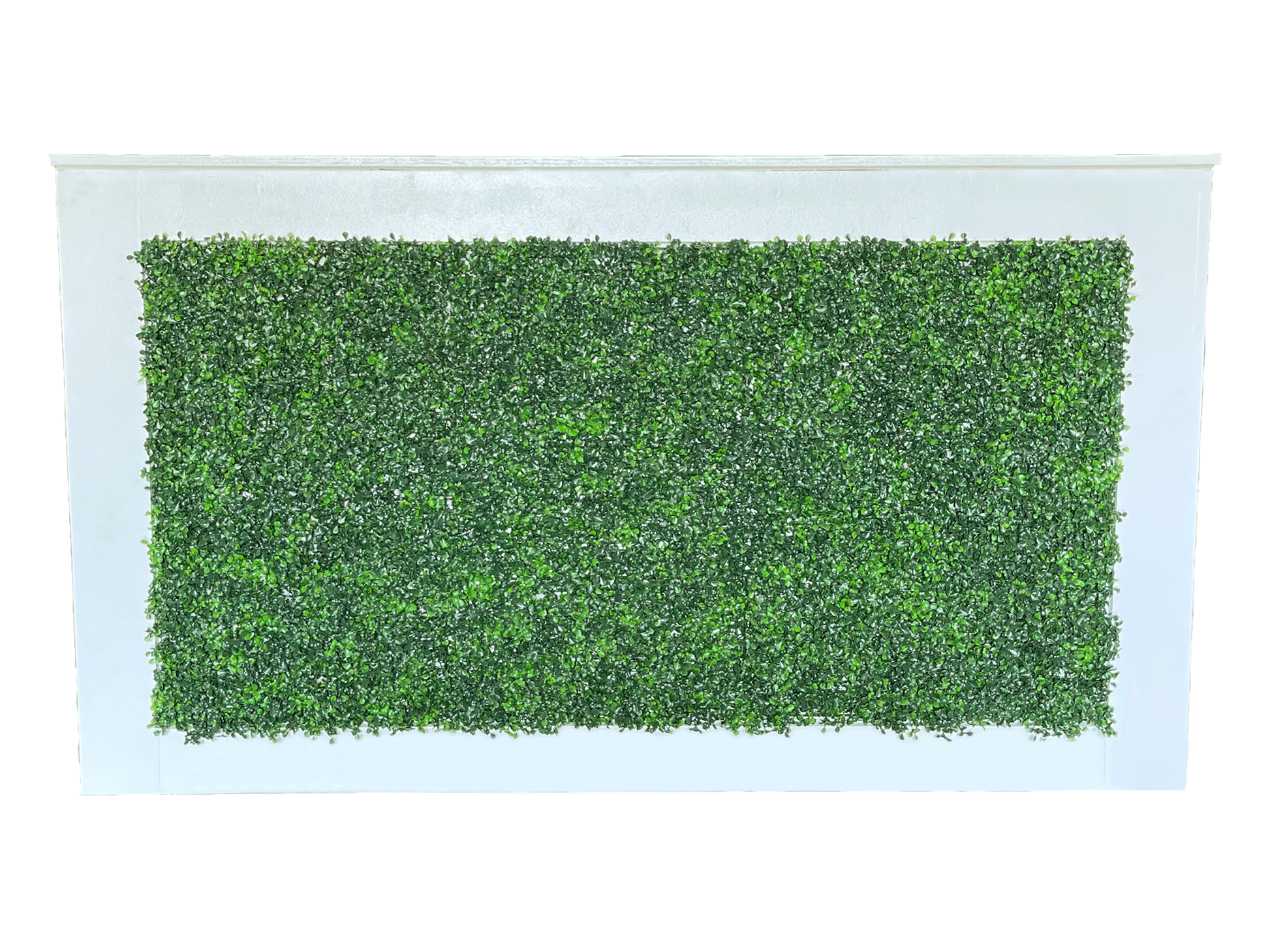 SAVANNAH HEDGE BAR
