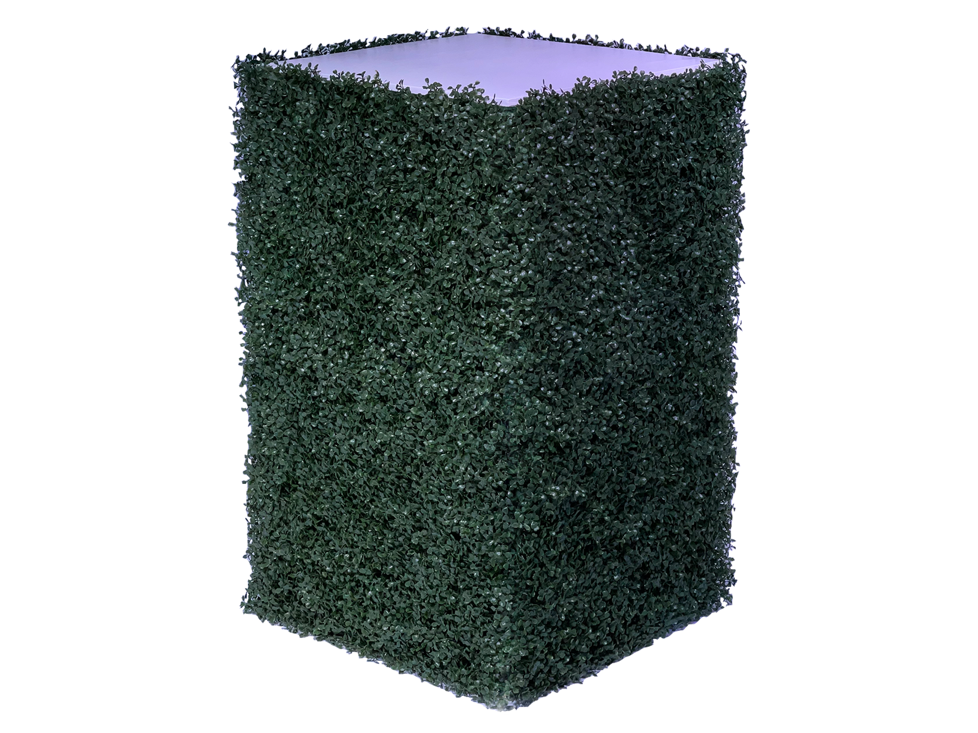 SAVANNAH HEDGE HIGHBOY