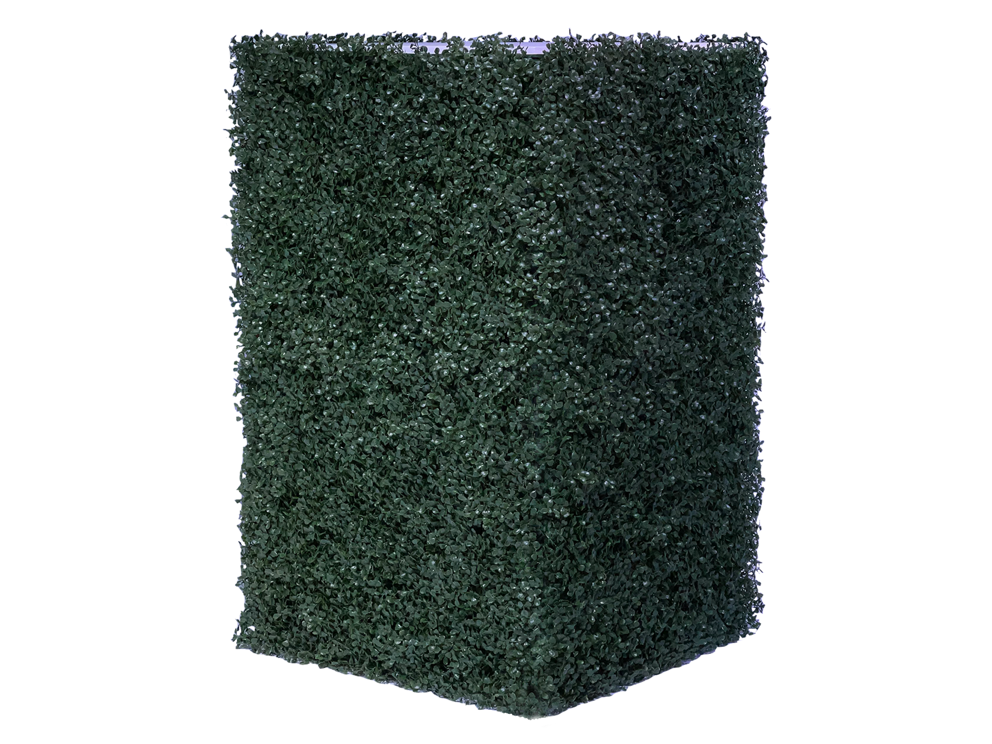SAVANNAH HEDGE HIGHBOY