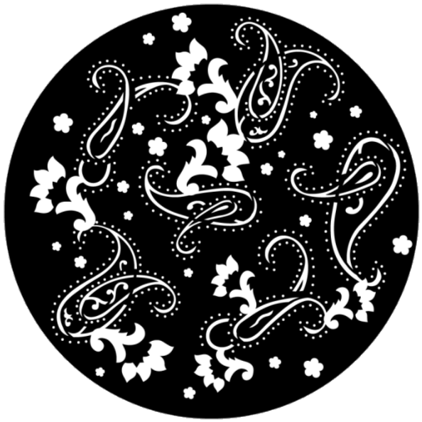 Paisley Print Breakup LLL Event Rentals